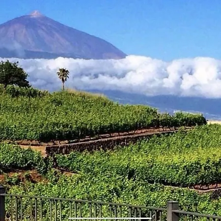 Playa Del Duque-amazing Views 2 Bedroom *