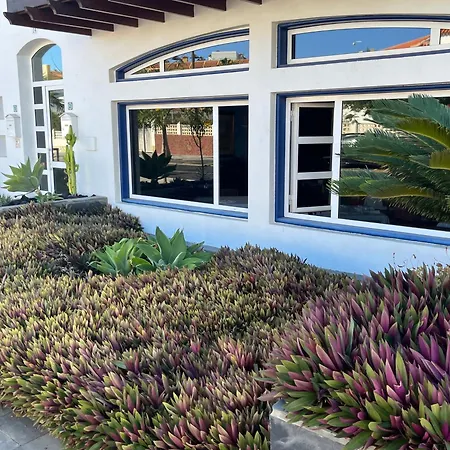 Playa Del Duque-amazing Views 2 Bedroom Daire